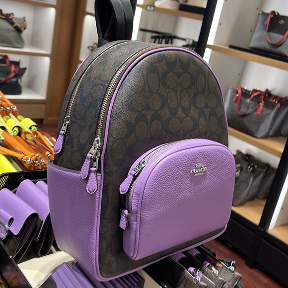 Coach Court Backpack In Signature Canvas
COLOR:
Silver/Brown/Iris
NWT - Picture 12 of 16